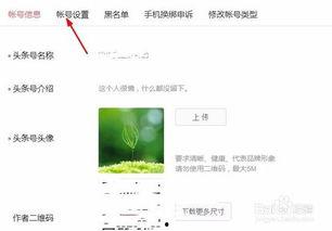 头条号怎么改相片,揭秘高效副标题创作技巧