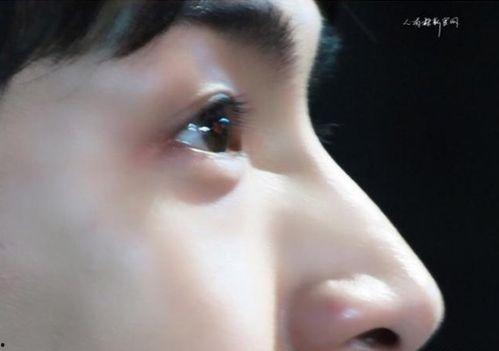 鼻翼很大的明星,揭秘那些鼻翼大却风度翩翩的明星风采