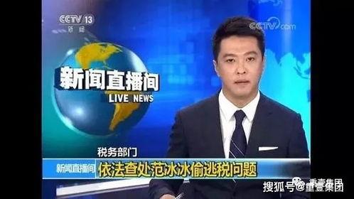 哪些明星都逃税,盘点那些曾陷入税务争议的明星