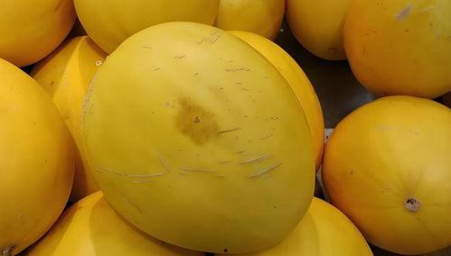 黄色瓜怎么吃,解锁美味新体验