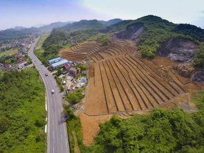 雨山区采石乡新闻头条,聚焦乡村振兴，共绘美好家园新画卷