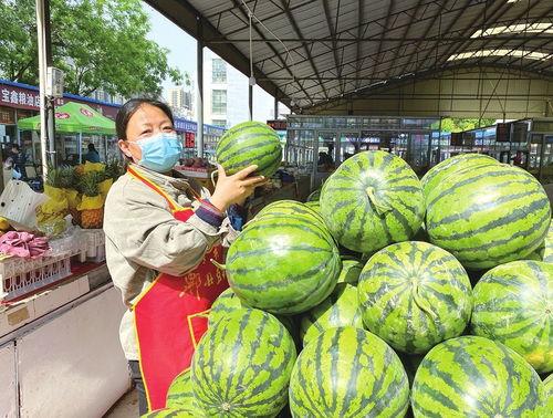 大棚吃瓜,揭秘现代农业吃瓜新风尚