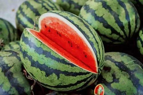 兰州最近的吃瓜,最新吃瓜指南速览