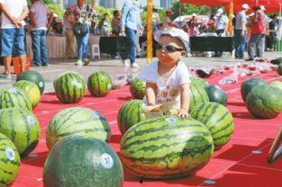 曹县比赛吃瓜视频,一场视觉与味觉的双重盛宴