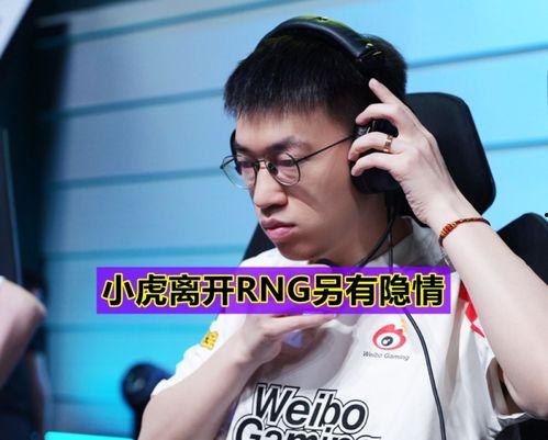 小虎被女友爆料视频,真相令人震惊