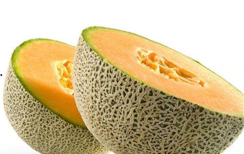 开出租屋吃哈密瓜,出租屋里的甜蜜生活体验