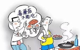吃瓜蘑菇唠嗑,揭秘娱乐圈幕后故事