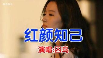 知音在线观看,畅享音乐盛宴，尽在指尖流转