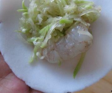 吃中药能吃瓠子瓜吗,瓠子瓜与中药同食的适宜性探讨