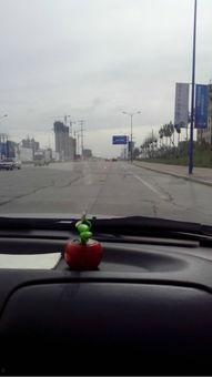 大庆网红湖,魅力湿地，生态旅游新地标