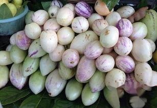 孕妇吃茄瓜的好处,茄瓜的营养益处与孕妇健康