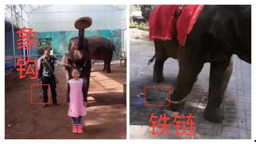 戴脚链明星,揭秘戴脚链明星的时尚态度