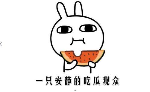 在抖音如何吃瓜,轻松掌握吃瓜技巧，畅享娱乐盛宴