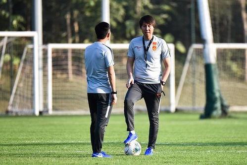 足协教练爆料视频,视频曝光幕后真相，揭秘足球训练与比赛背后的故事