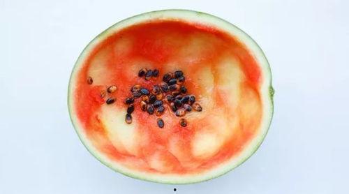 安徽合肥吃瓜事故真相,揭秘背后惊人真相