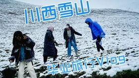 vlog9吃瓜,吃瓜群众的狂欢盛宴