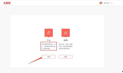 照片在头条上怎么做,瞬间捕捉的视觉奇遇