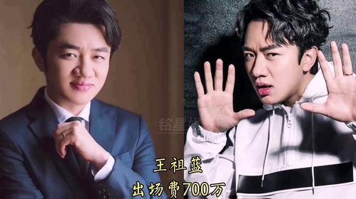 各个明星的出场费