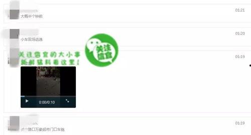 网络爆料视频大全最新,热点事件瞬间回顾