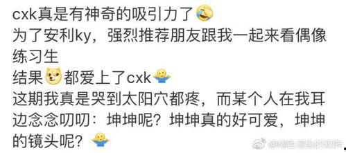 追星吃瓜文案短句搞笑,瓜田笑果连连