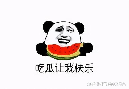 坐等吃瓜的文案搞笑,坐等吃瓜，笑料连连的欢乐盛宴