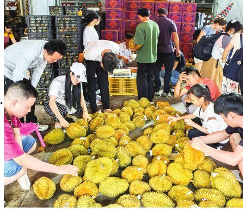 南宁水果爆料事件最新情况,真相大白，市场秩序再获保障