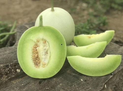 玉菇吃瓜神器怎么用,轻松解锁夏日美味新体验